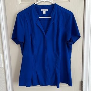 Dana Buchman - blue blouse